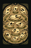 Canine Skull Varieties Framed Print